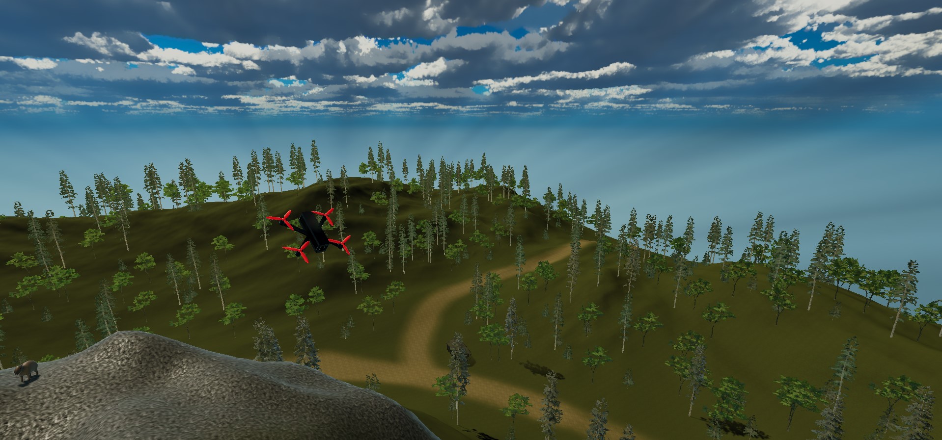 image from my simulator